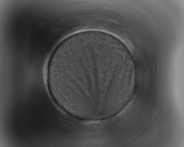 X0000087561519200705181115