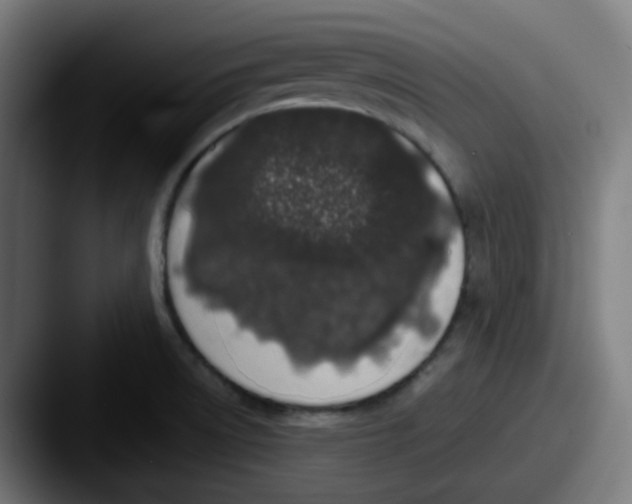 X0000087561522200705181115