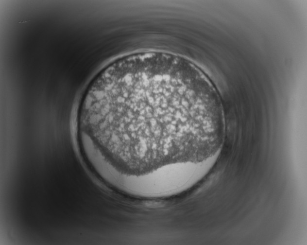 X0000087561523200705181115