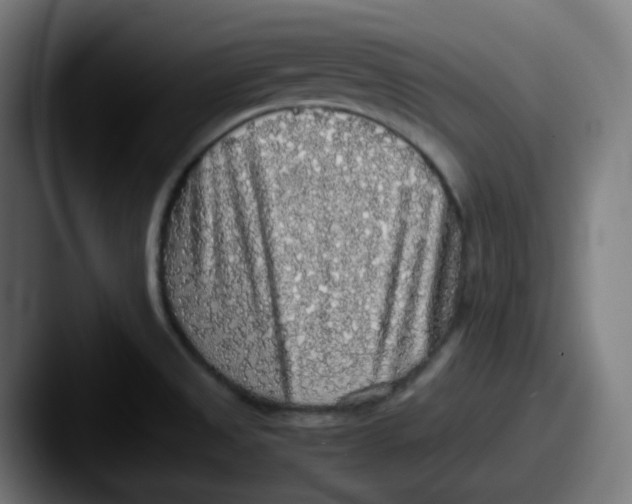 X0000087561525200705181115