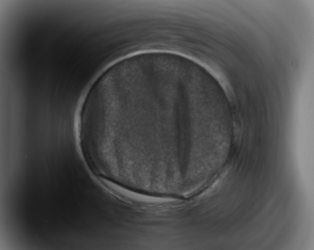 X0000087561527200705181115