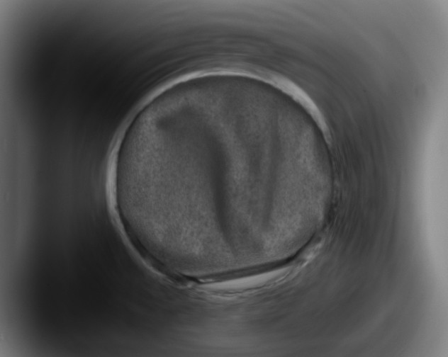 X0000087561528200705181115