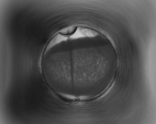 X0000087561529200705181115
