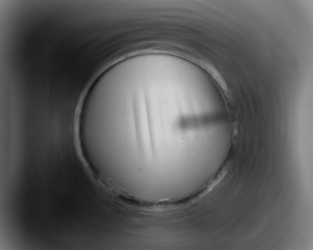 X0000087561530200705181115