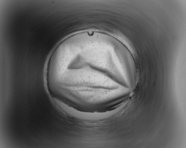 X0000087561532200705181115