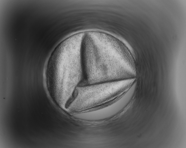 X0000087561534200705181115