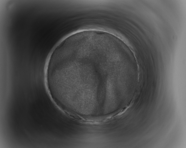 X0000087561536200705181115