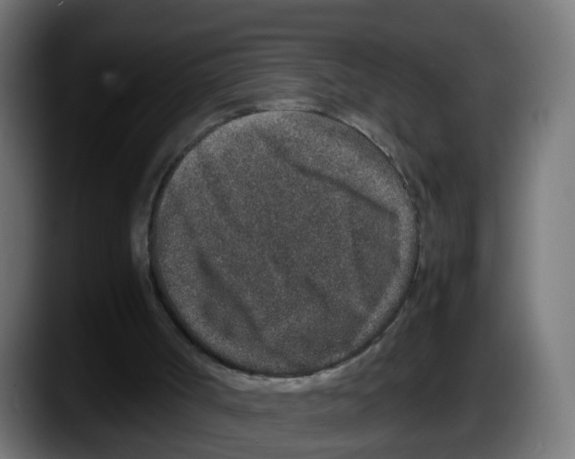 X0000087560002200705251809