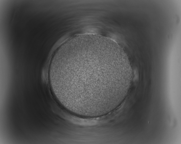 X0000087560004200705251809