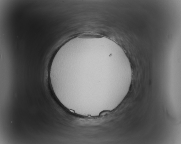 X0000087560005200705251809