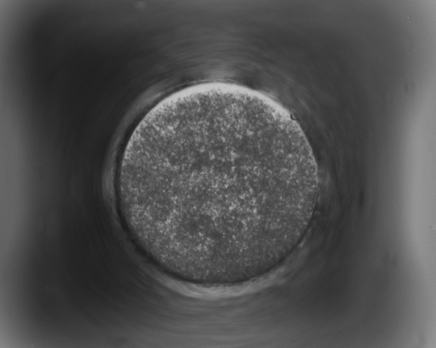 X0000087560006200705251809