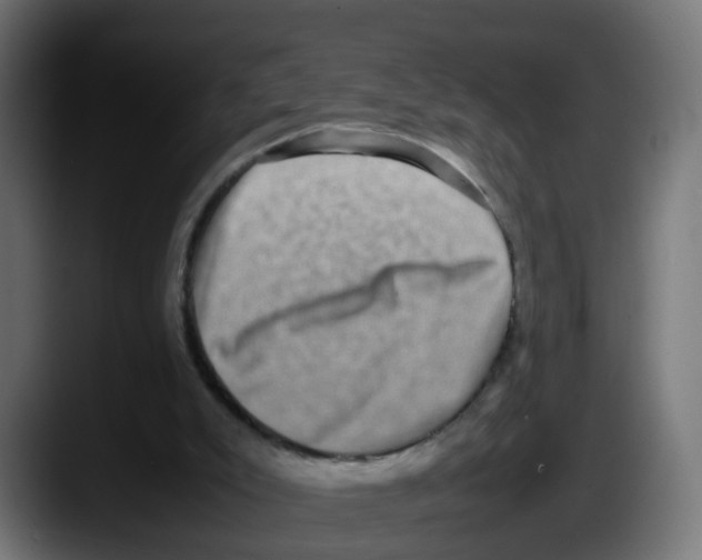 X0000087560007200705251809