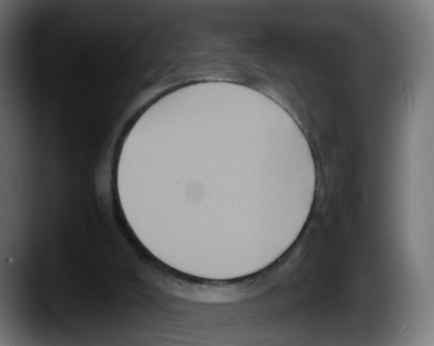 X0000087560008200705251809