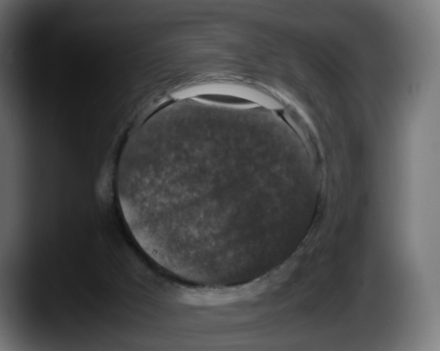 X0000087560009200705251809