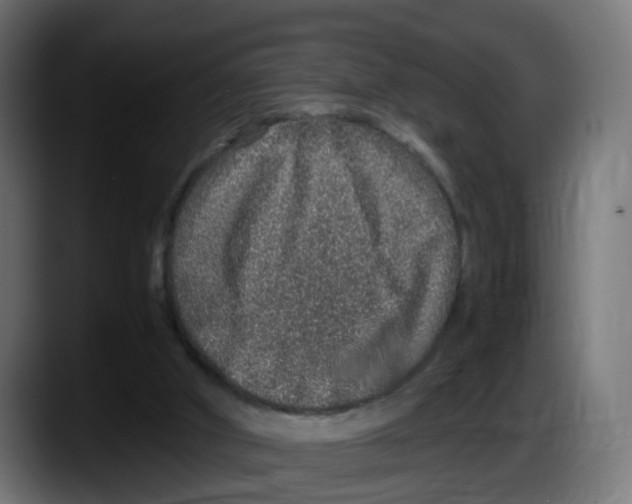 X0000087560010200705251809
