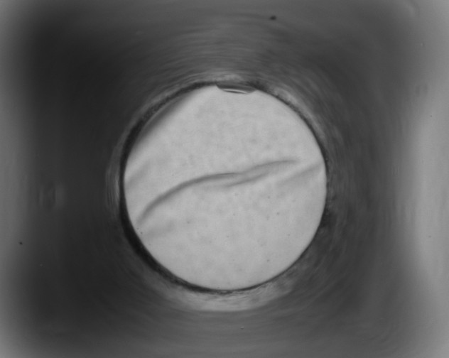 X0000087560011200705251809