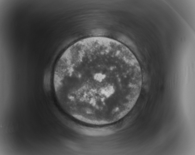 X0000087560012200705251809