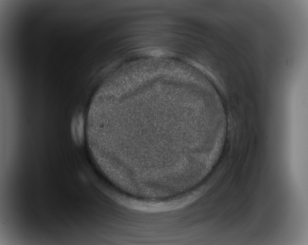 X0000087560014200705251809