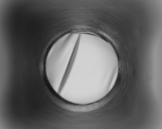 X0000087560015200705251809