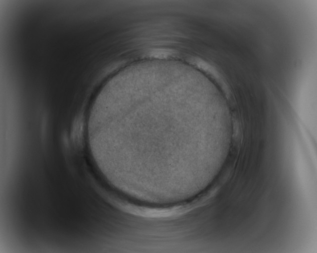 X0000087560016200705251809