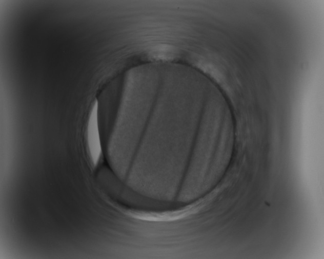 X0000087560017200705251809