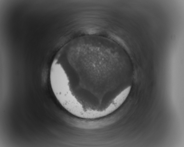 X0000087560018200705251809