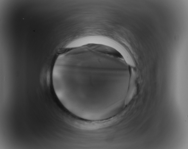 X0000087560019200705251809