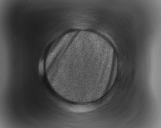 X0000087560020200705251809