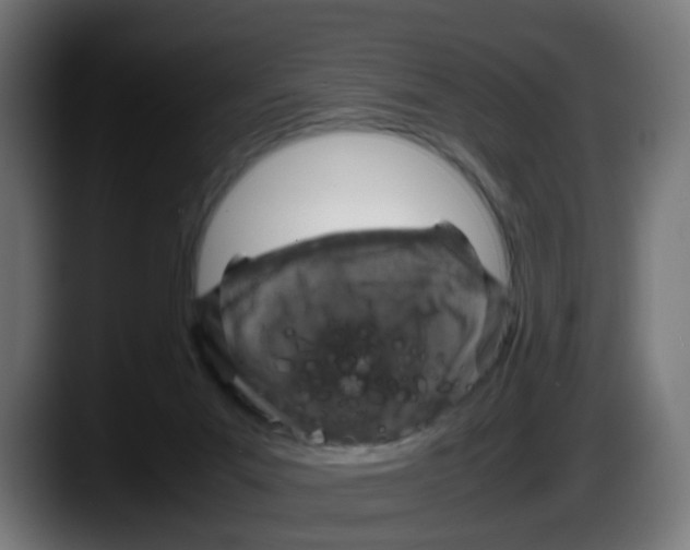 X0000087560023200705251809
