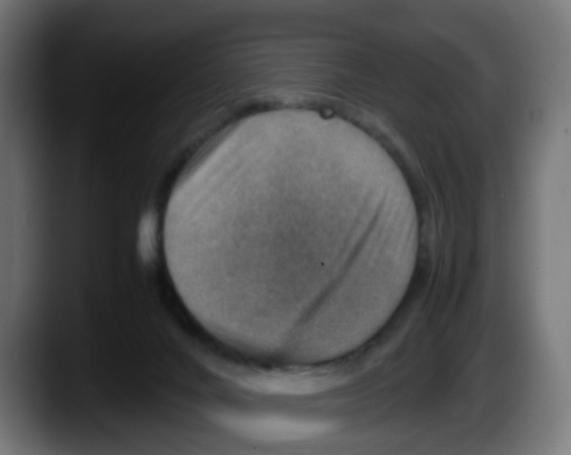 X0000087560024200705251809