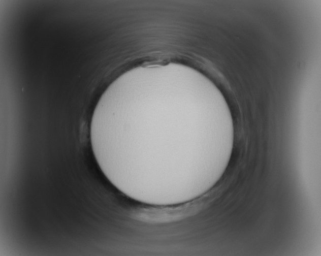 X0000087560025200705251809