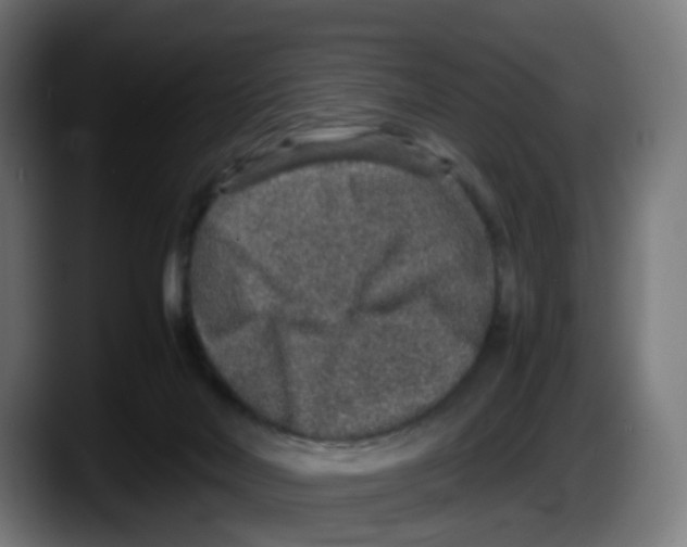X0000087560026200705251809