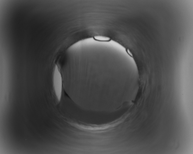 X0000087560027200705251809