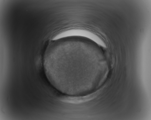X0000087560029200705251809