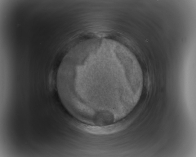 X0000087560030200705251809