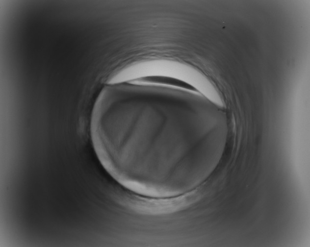 X0000087560031200705251809