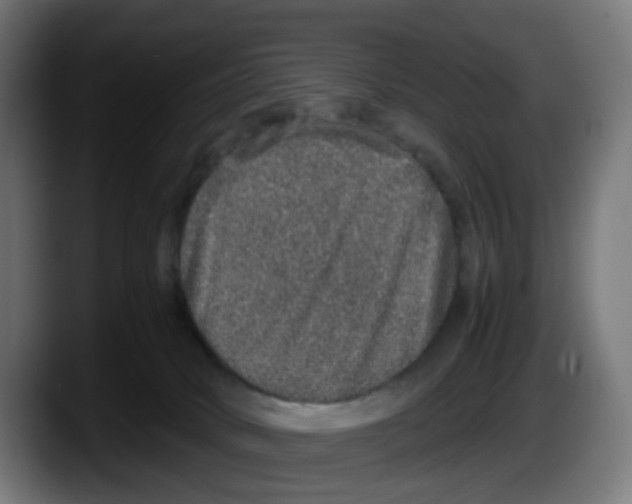X0000087560034200705251809