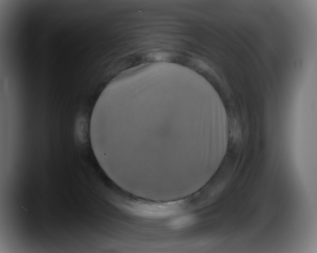 X0000087560036200705251809