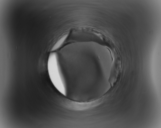 X0000087560039200705251809