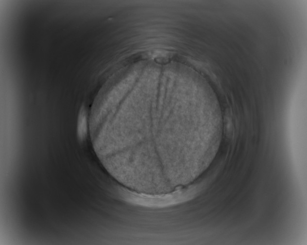 X0000087560042200705251809