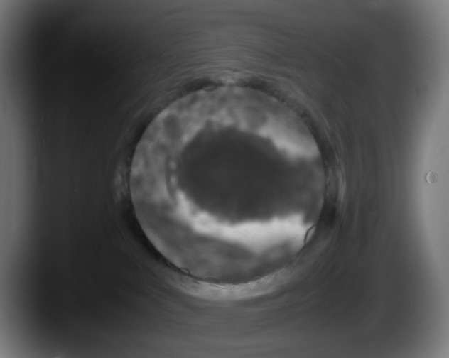 X0000087560043200705251809