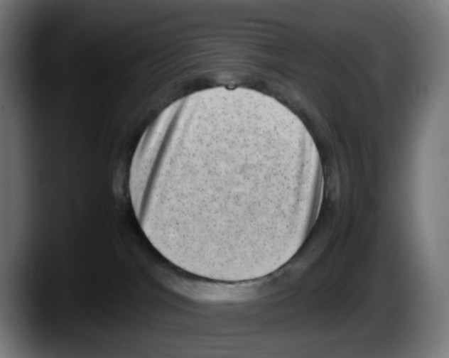 X0000087560044200705251809