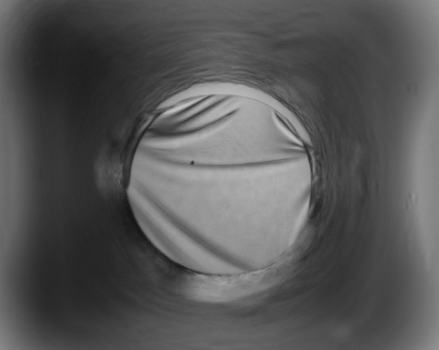 X0000087560045200705251809