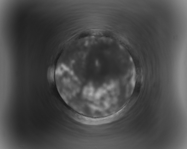 X0000087560047200705251809