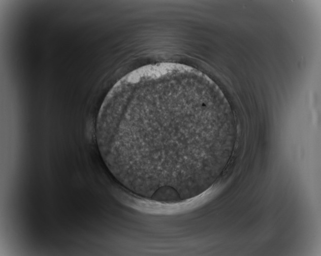 X0000087560048200705251809