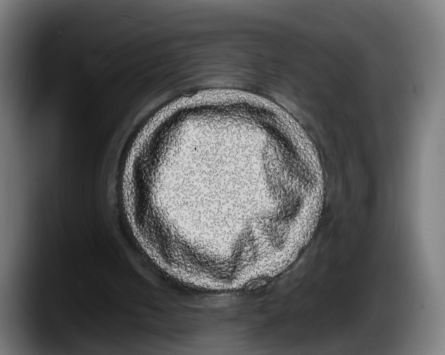 X0000087560050200705251808