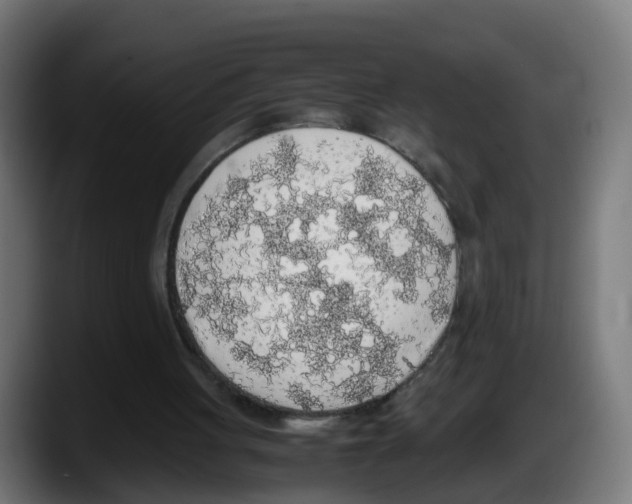 X0000087560051200705251808
