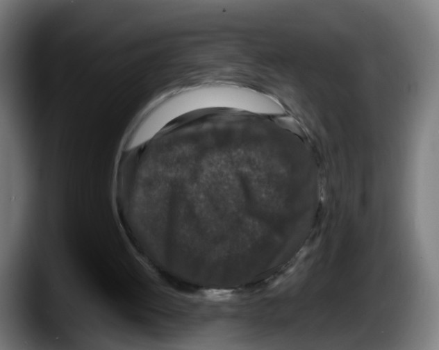 X0000087560052200705251808