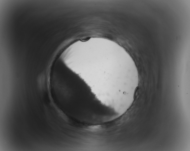 X0000087560054200705251808