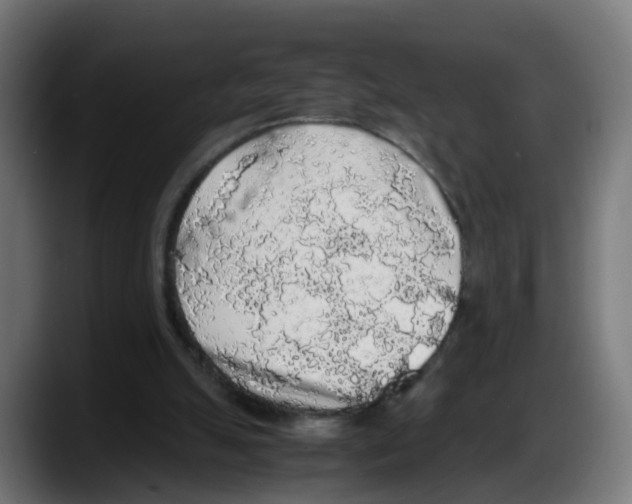 X0000087560055200705251808